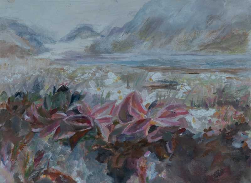 Landschaft in Norwegen