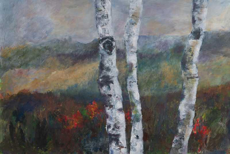 Landschaft mit Birkenstämmen